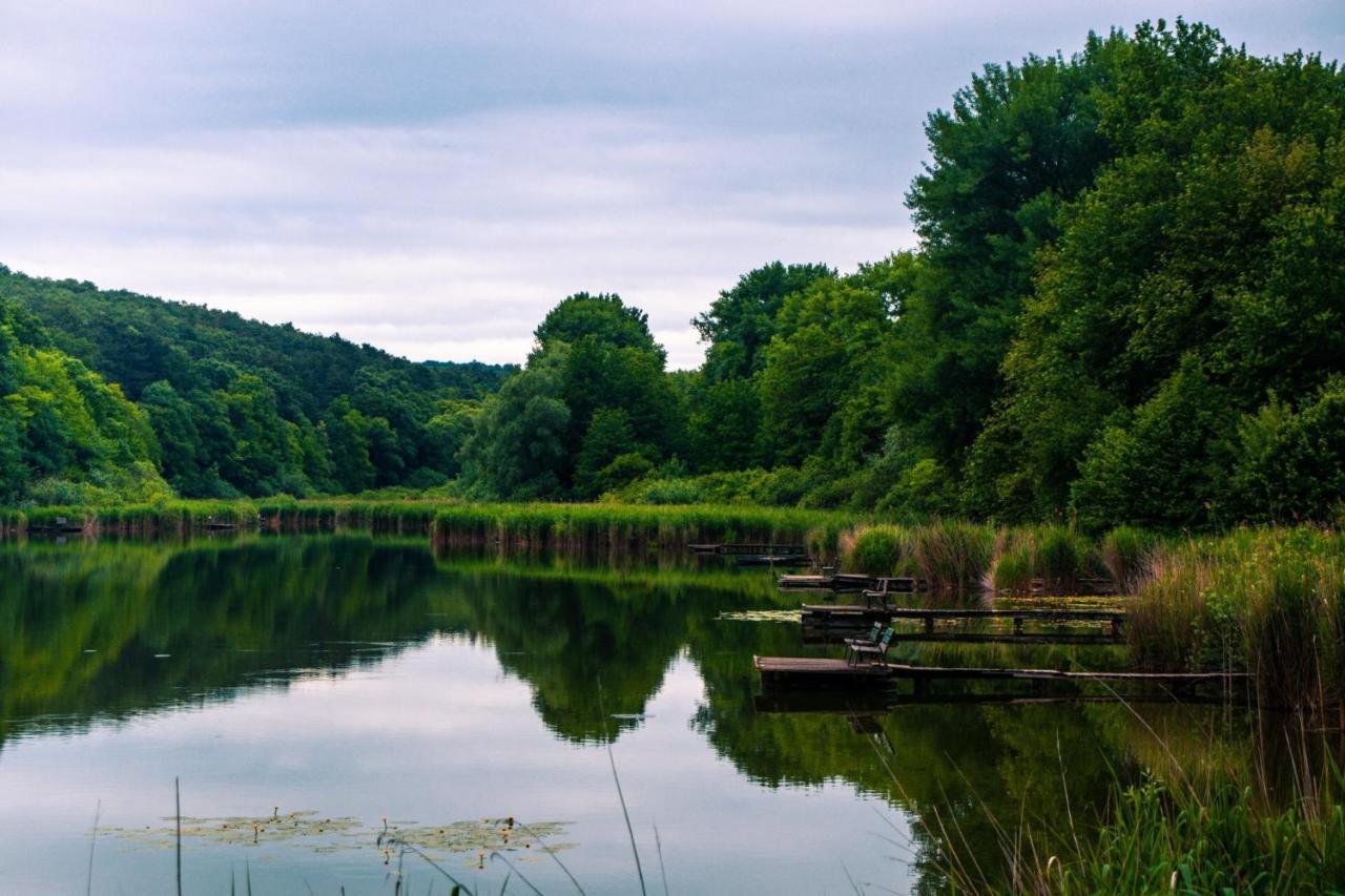 Lakelove Házikó Sopron- Erdő és Tópart Mellett *
